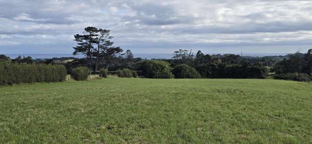 Grazing, supplement or retirement