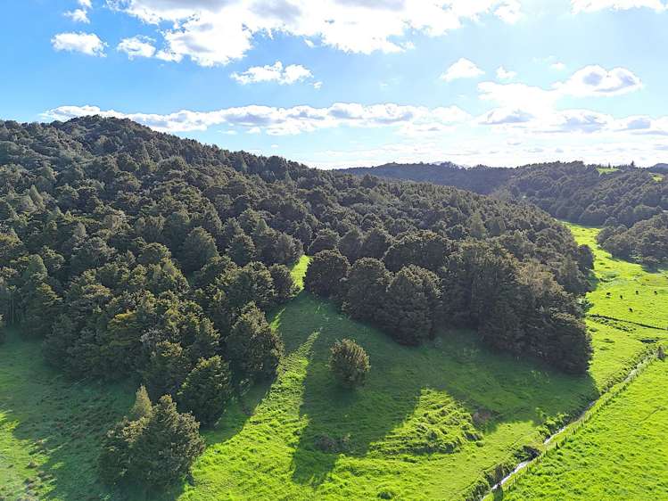 Ounuwhao Road Dargaville Surrounds_12