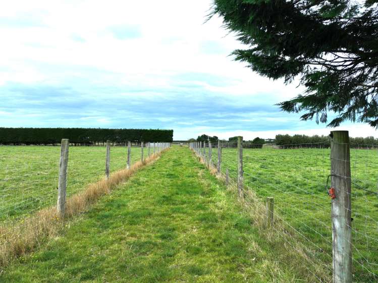 170 Taramoa Road Winton Surrounds_14