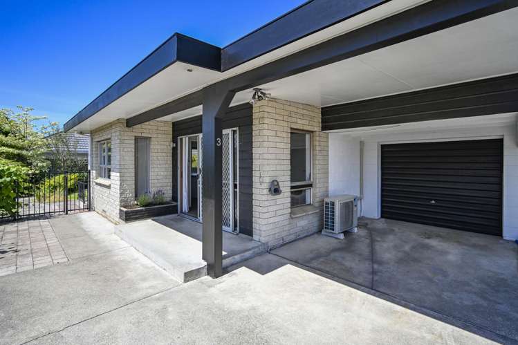 3/205 Knight Street Hastings_16