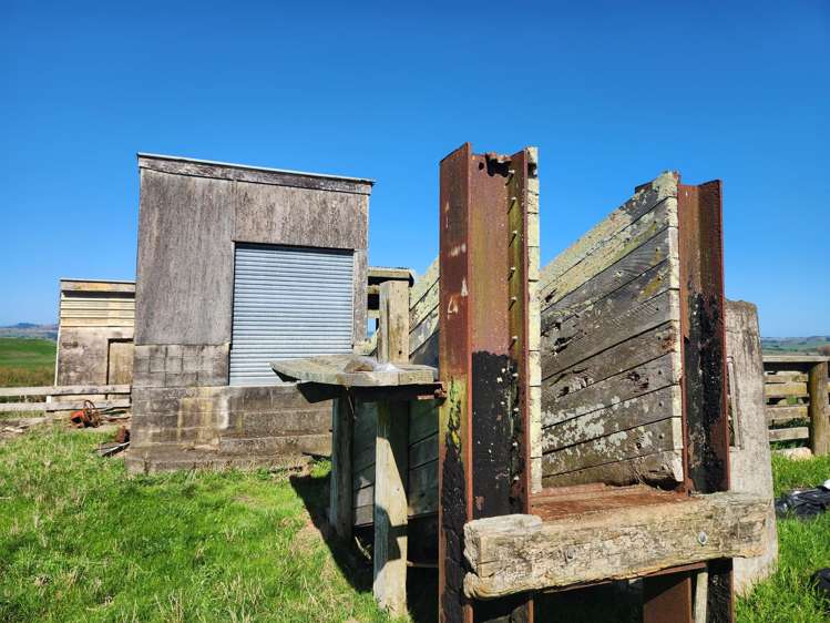 579 Hetherington Road Rotongaro_16