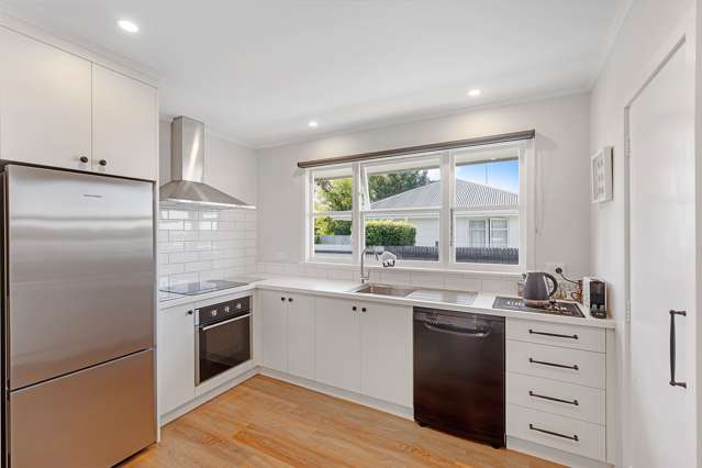 92 Princes Street Netherby_2