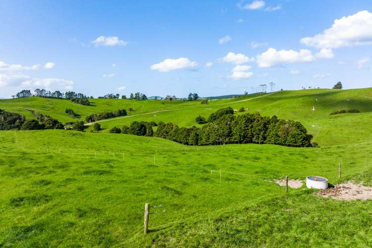 52 Gillon Road Matakohe_6