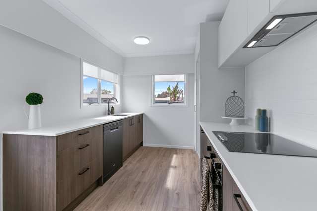 15 Ross Street Levin_1
