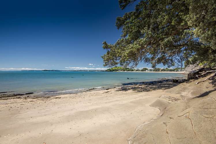 128a Vauxhall Road Narrow Neck_9