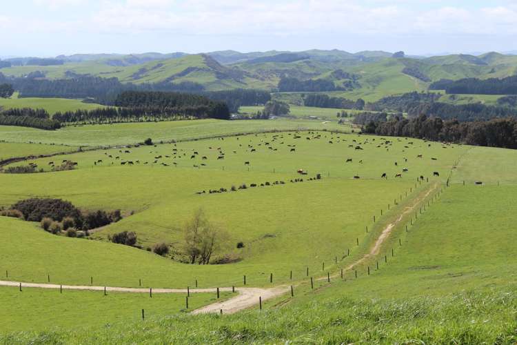 275 Cliff Road Eketahuna_16