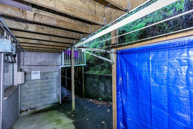 57/8 Carrington Street Lower Vogeltown_13