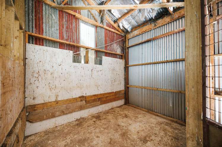 571 Kairanga Bunnythorpe Road Milson_13