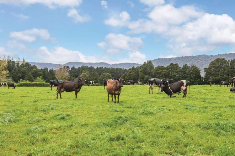 696a Tower Road Matamata_24