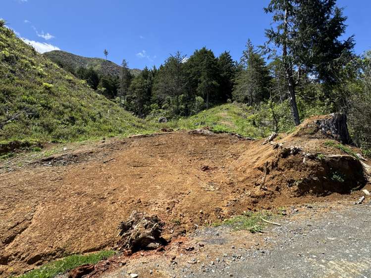 Lot 2 Brown Road Kawhia_21