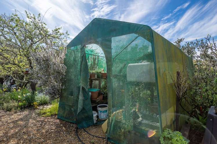 364 The Coastal Highway Redwood Valley_32