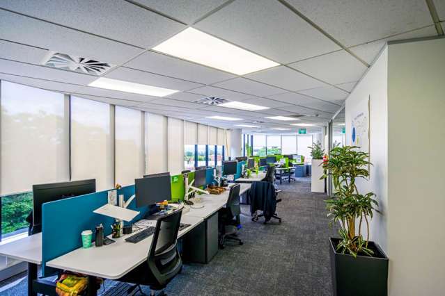 264 Mount Eden Road Mt Eden_1