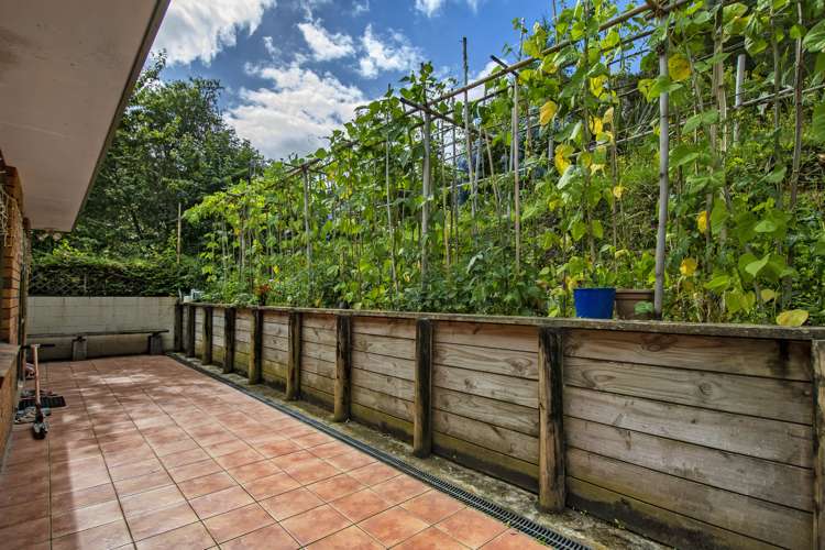 252 Maunu Road Horahora_11