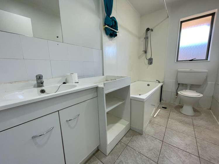49 Michael Jones Drive Flat Bush_9