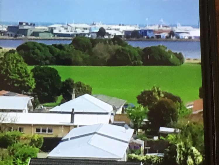 20 Iwa Road The Wood_5