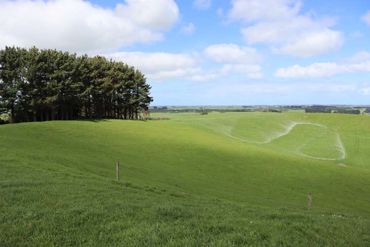 96 Lower Hunter Road Hawera_32