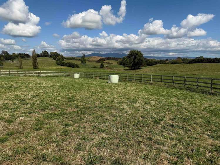 168 Gillard Road Ohaupo_14