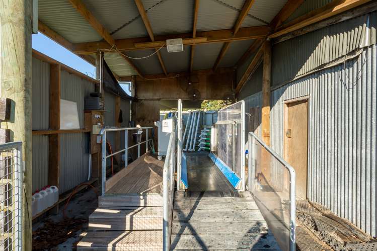 19 Brinkworth Road Tamahere_18