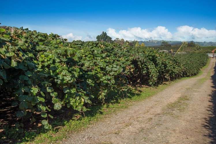 28 Lochhead Road Te Puna_3