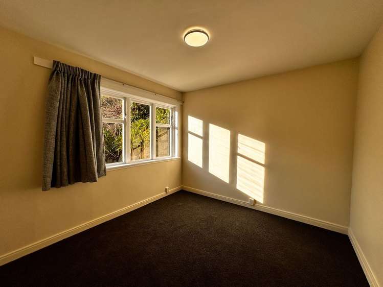 3/20 St Michaels Crescent Kelburn_14