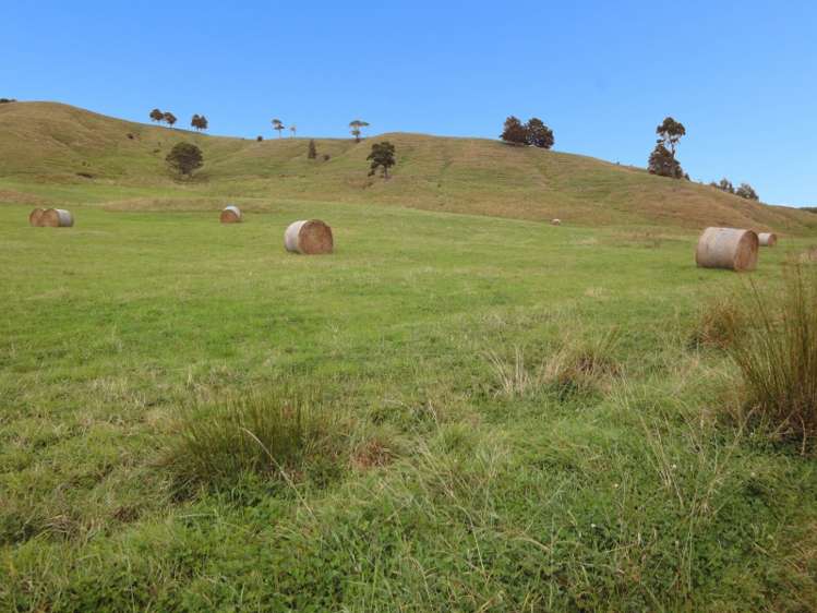 190 Harris Road Woodville_10