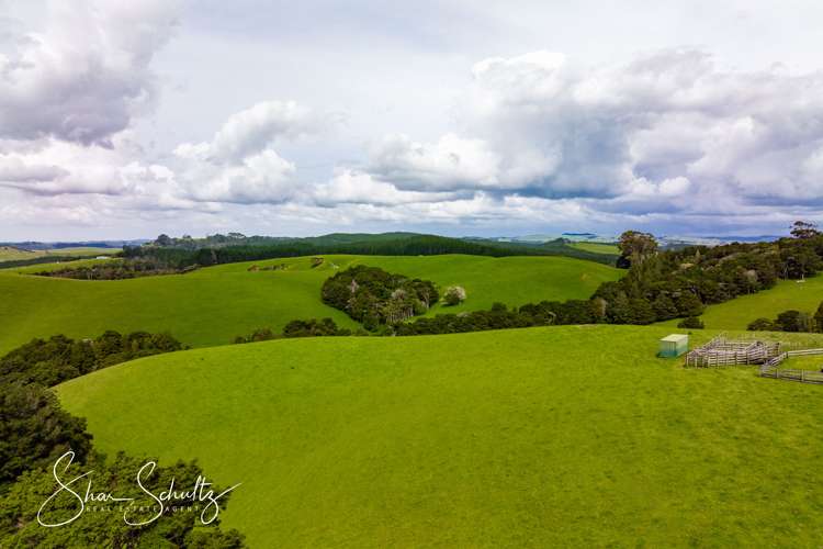 1509 Tinopai Road Tinopai_32