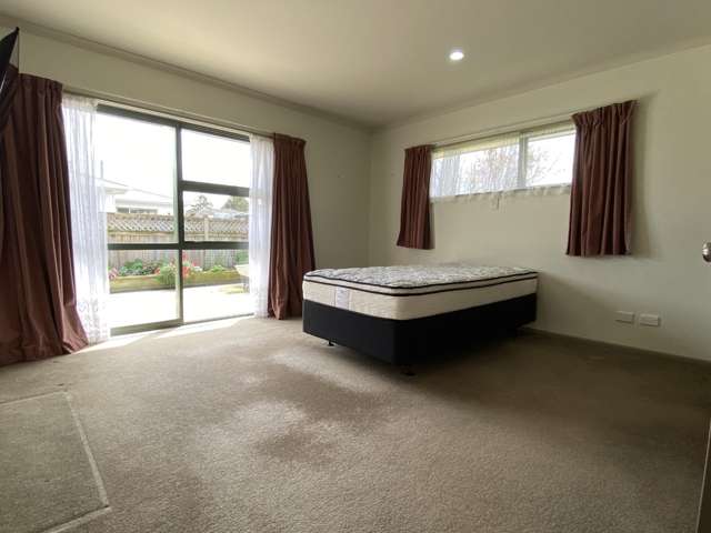 157 Manchester Street Feilding_4