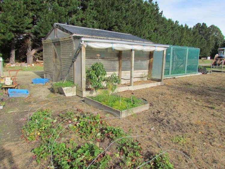 11 Ettrick Road Ettrick_14