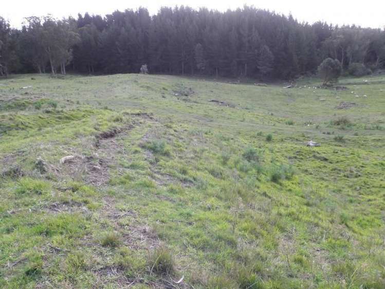 1433 State Highway 3 Turakina_20