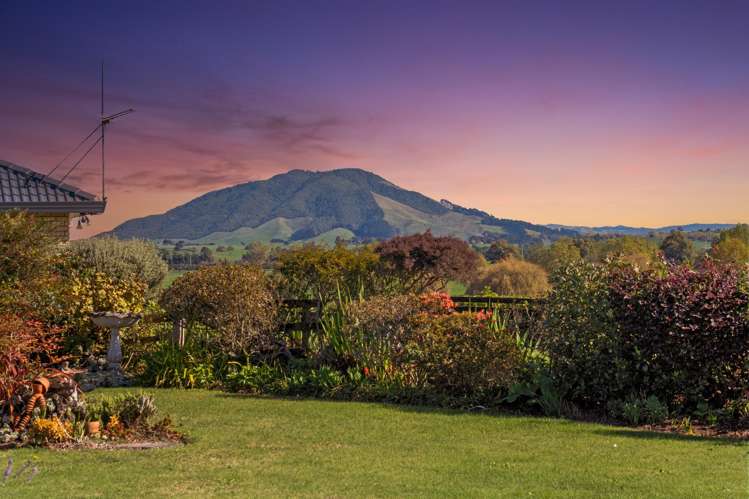 182 Dalton Avenue Te Awamutu_9