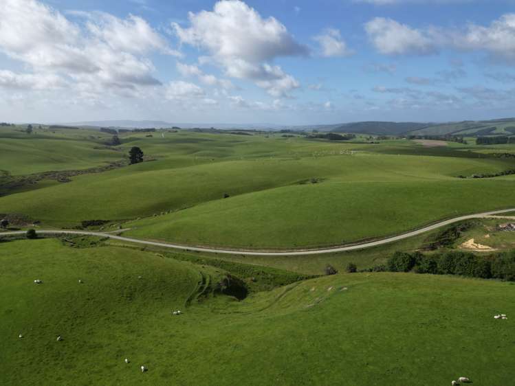 759 Waitahuna Gully Road Manuka Creek_20