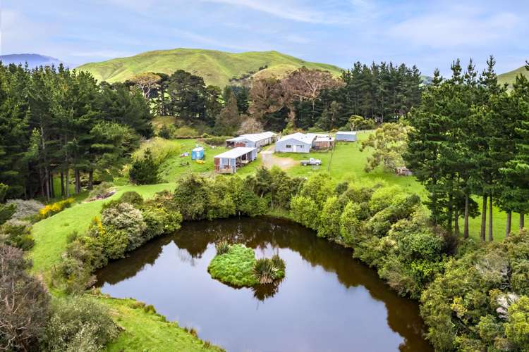 174 Opaki Kaiparoro Road Eketahuna_3