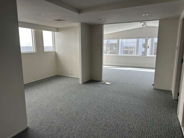 51 Randolph Street Eden Terrace_4