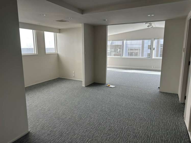 51 Randolph Street Eden Terrace_4