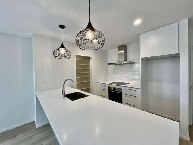 90 Monarch Drive Rolleston_1