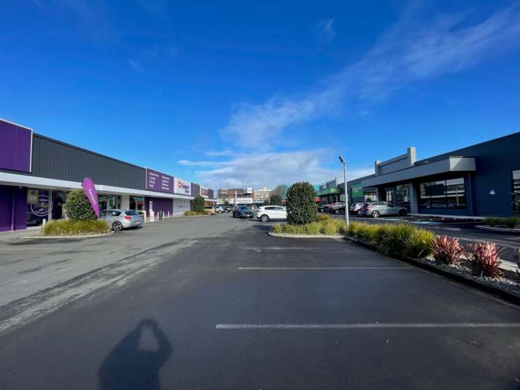 152-166 Rangitikei Street City Centre_1