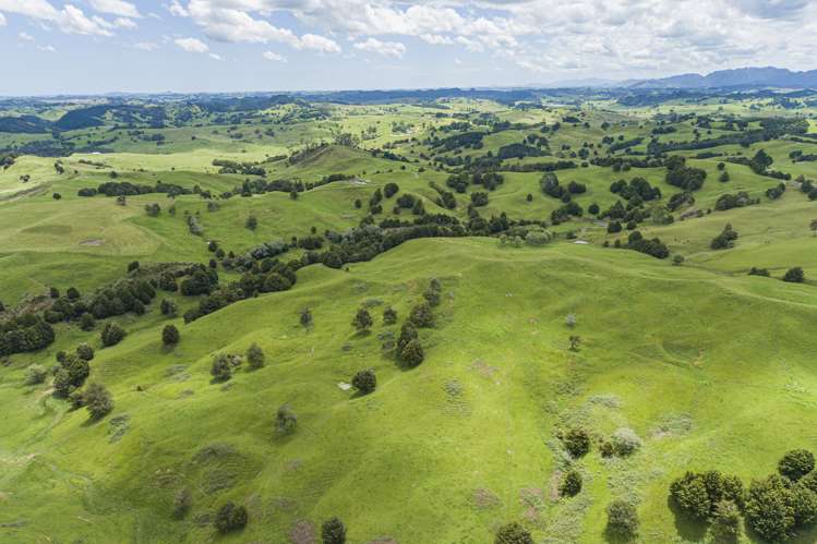 282 Taipuha Station Road Otamatea Surrounds_6