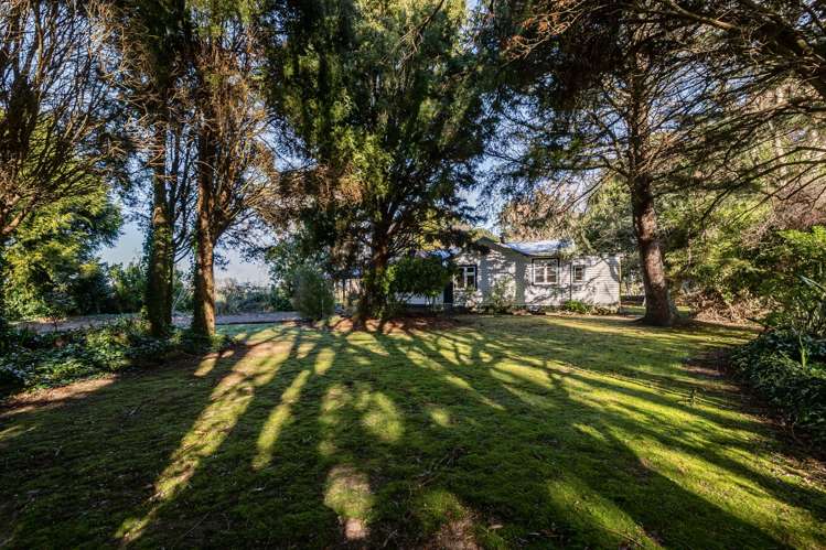 460 Troup Road Woodville_11