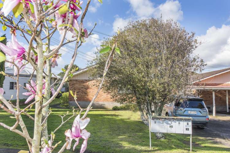 2/43 Spring Street Onehunga_1