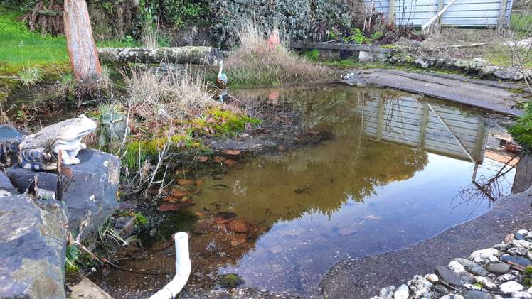 5 Ipswich Street Balclutha_27