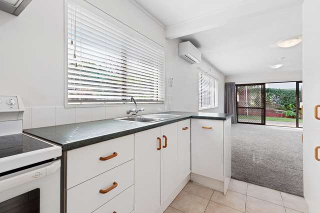 175 Te Hono Street Maungatapu_4