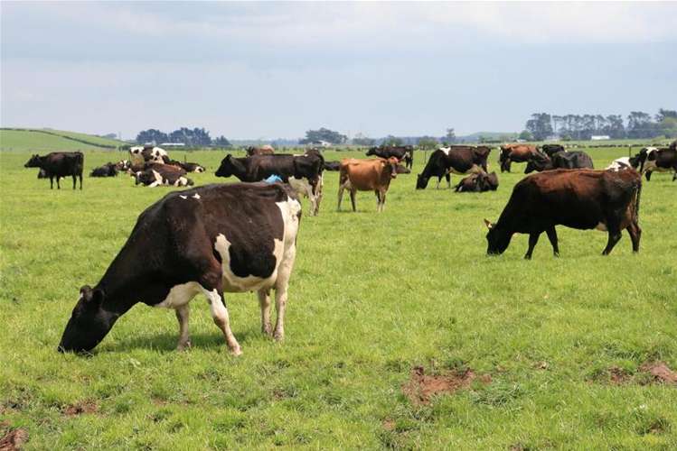 173 Anderson Road Eltham_8