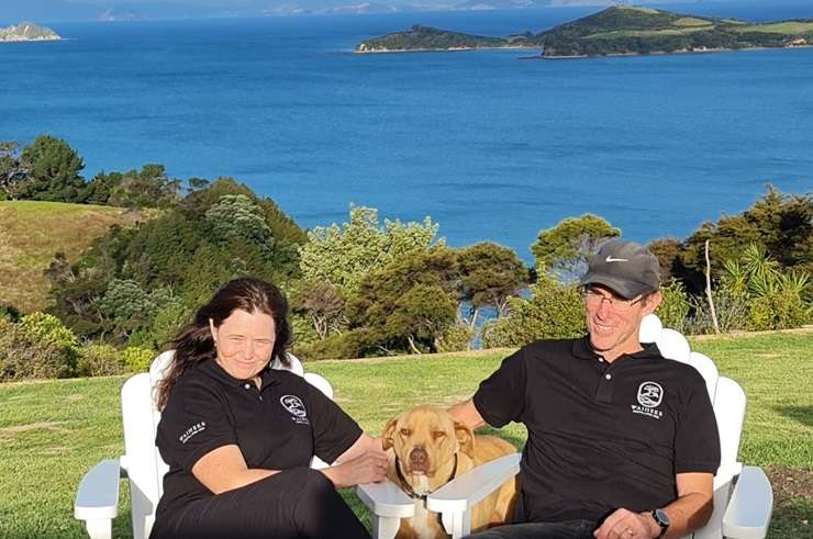 The 7.76ha plot at 306A Cowes Bay Road, on Waiheke Island, is for sale for $6.5 million. Photo / Supplied