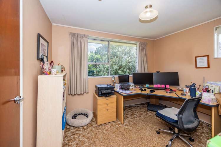 46a Livingstone Avenue Nawton_11