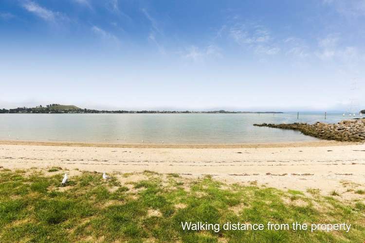 62 Seacliffe Road Hillsborough_17