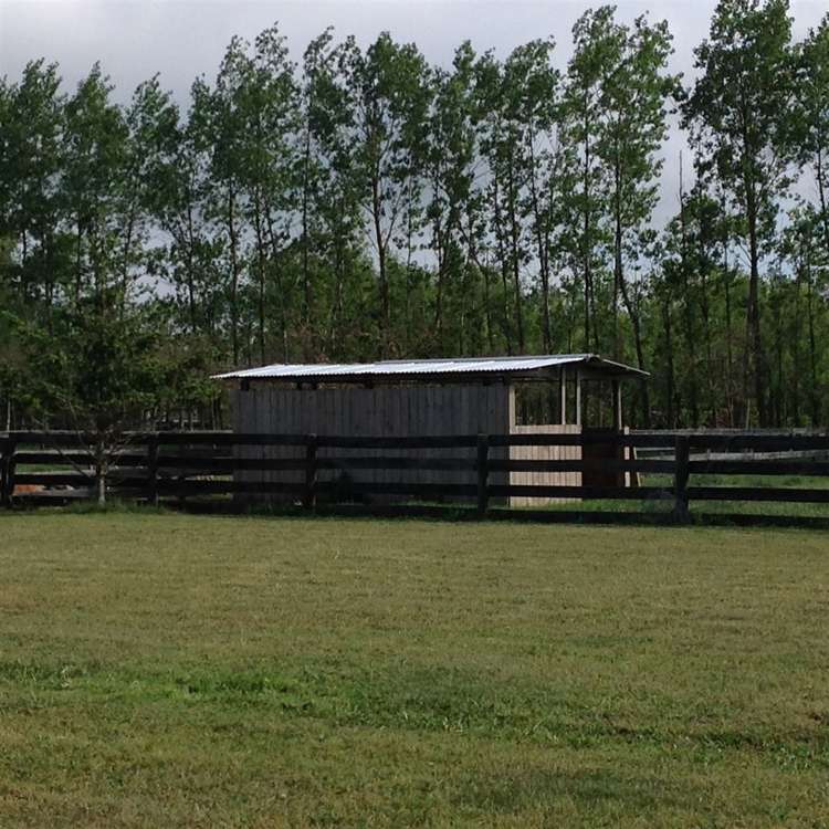 1029 Two Chain Road Swannanoa_18