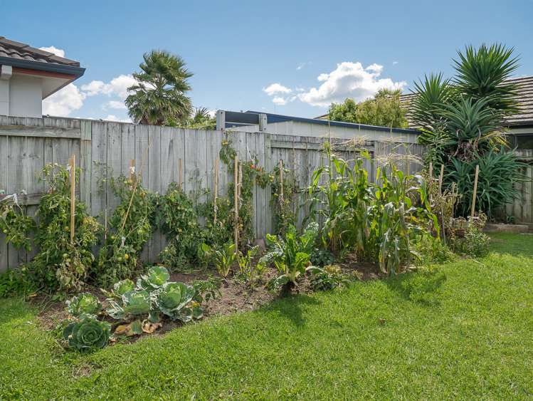 44 Arabian Drive Papamoa_13