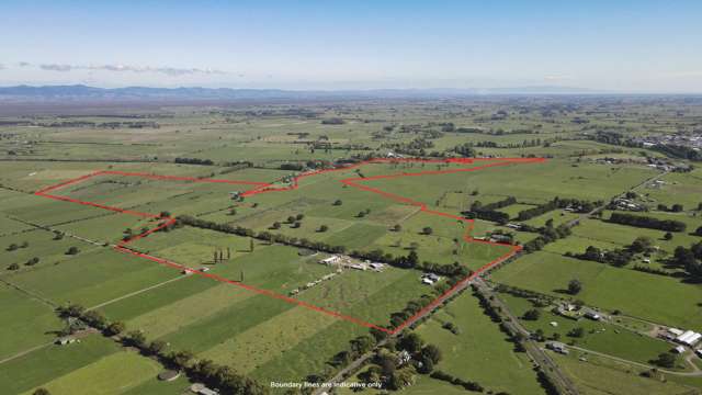 Receivership dairy farm