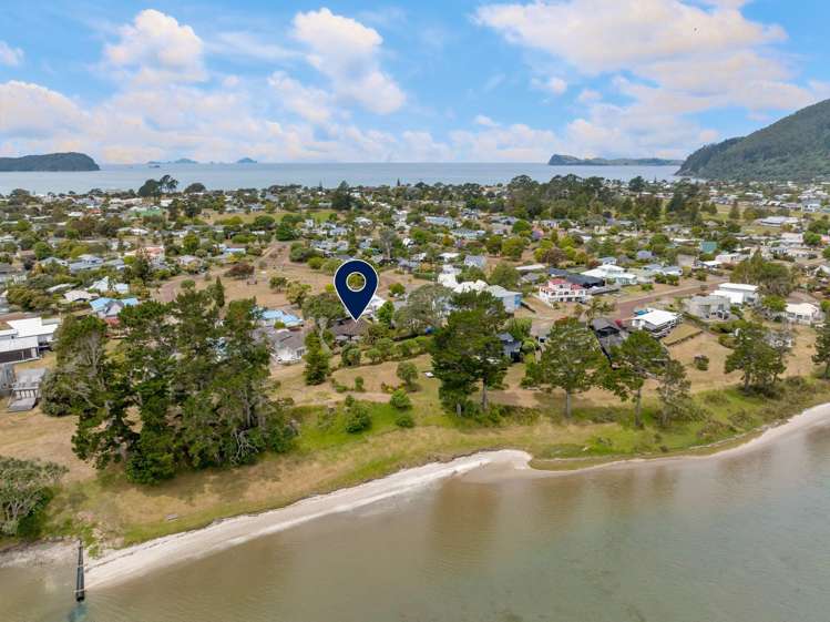 31 Given Grove Pauanui_21