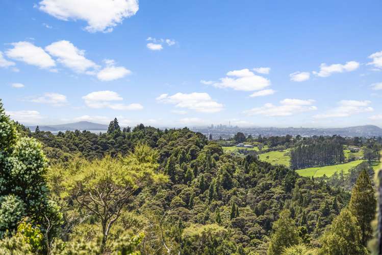 24 Kitewaho Road Swanson_15